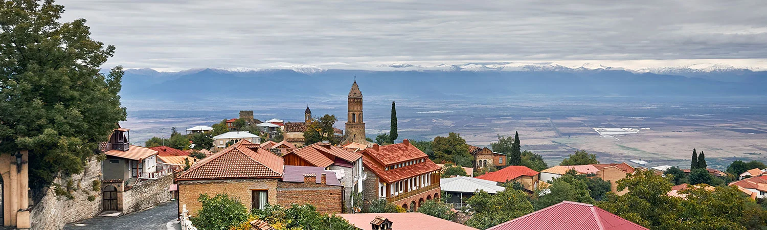 A panoramic view of a picturesque village nestled on a hillside