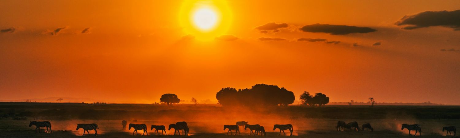 sunset at kenya safari